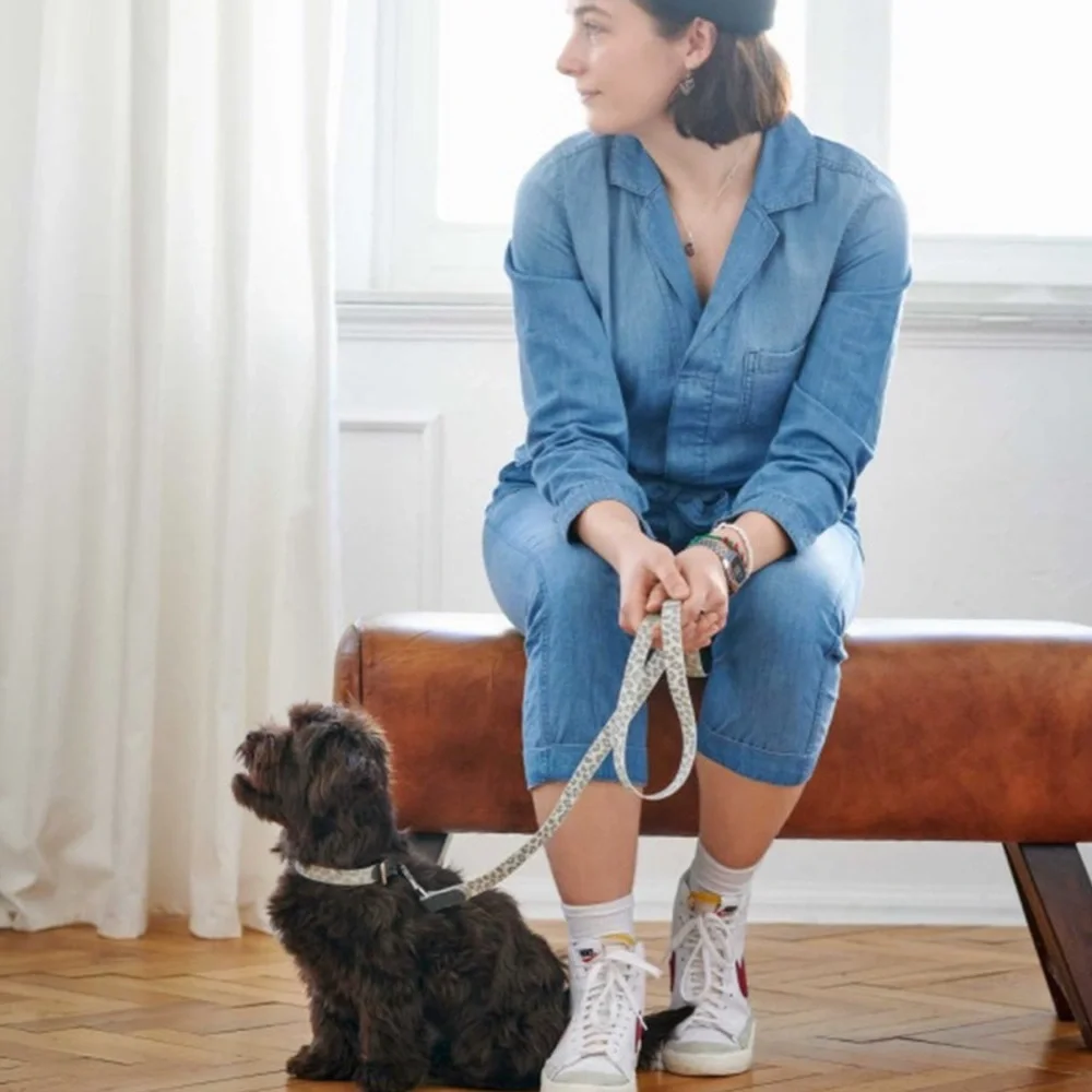 Hunter Convenience Reflect & Glow Dog Collar